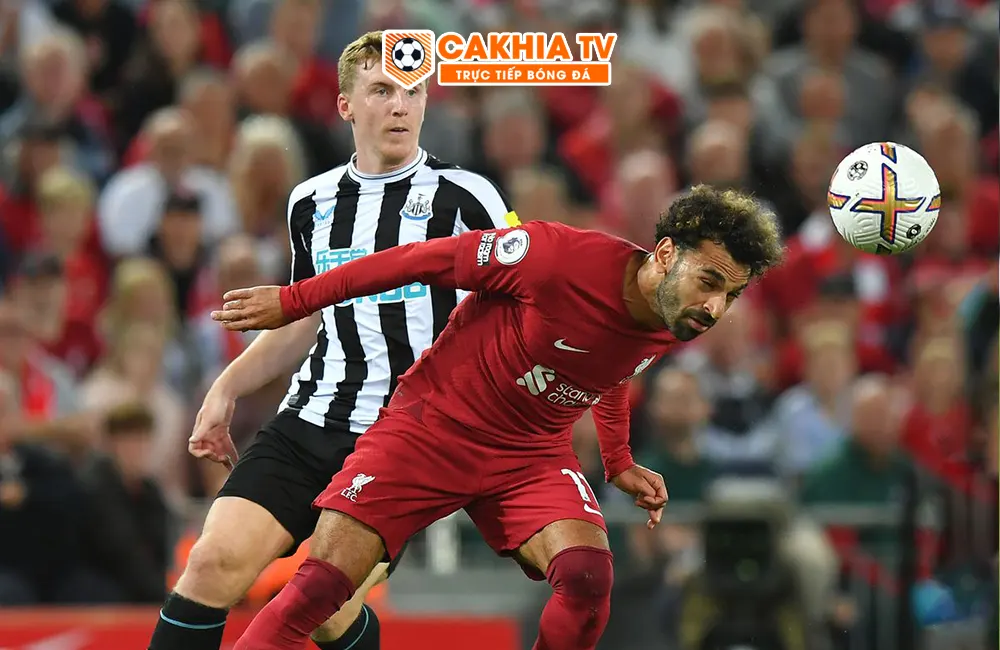 Nhận định soi kèo Newcastle United vs Liverpool, 22h30 ngày 27/08/2023