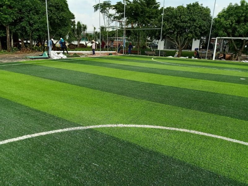 Top sân cỏ tự nhiên TPHCM mà người chơi thể thao yêu thích