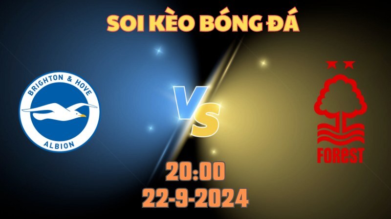 Brighton - Nottingham