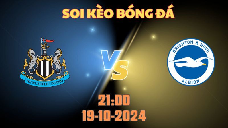 Newcastle gặp Brighton